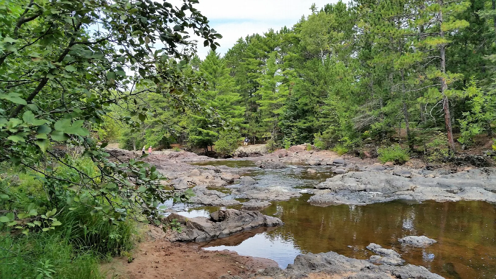 Shallow rocky river with brown pools and pine forest