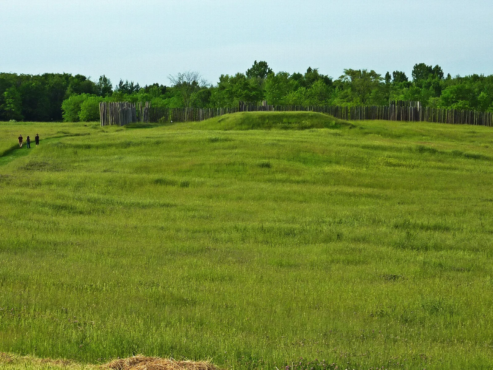Low grassy mound and stockade line beyond a green meadow