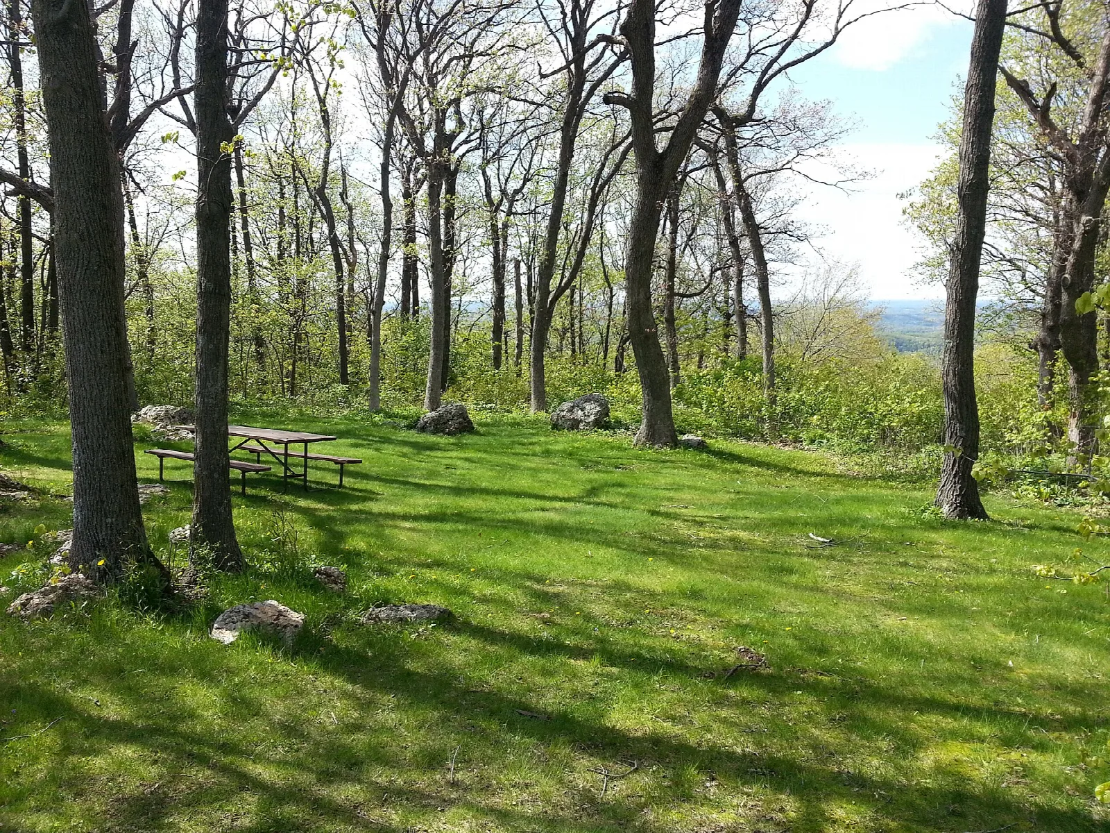 Grassy clearing with a picnic table among bare trees