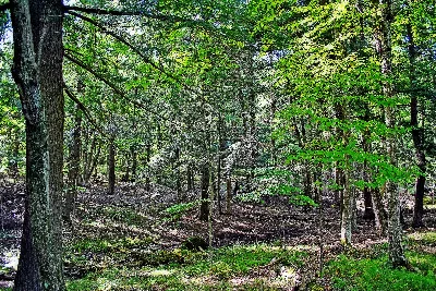 Brunet Island State Park