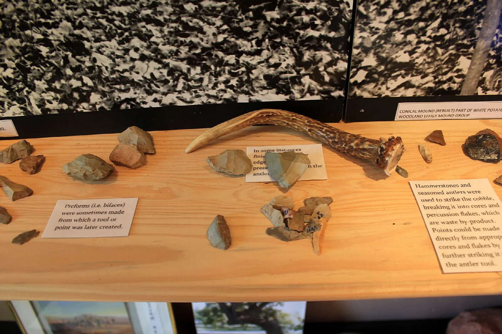 Museum shelf with stone tools and an antler tool