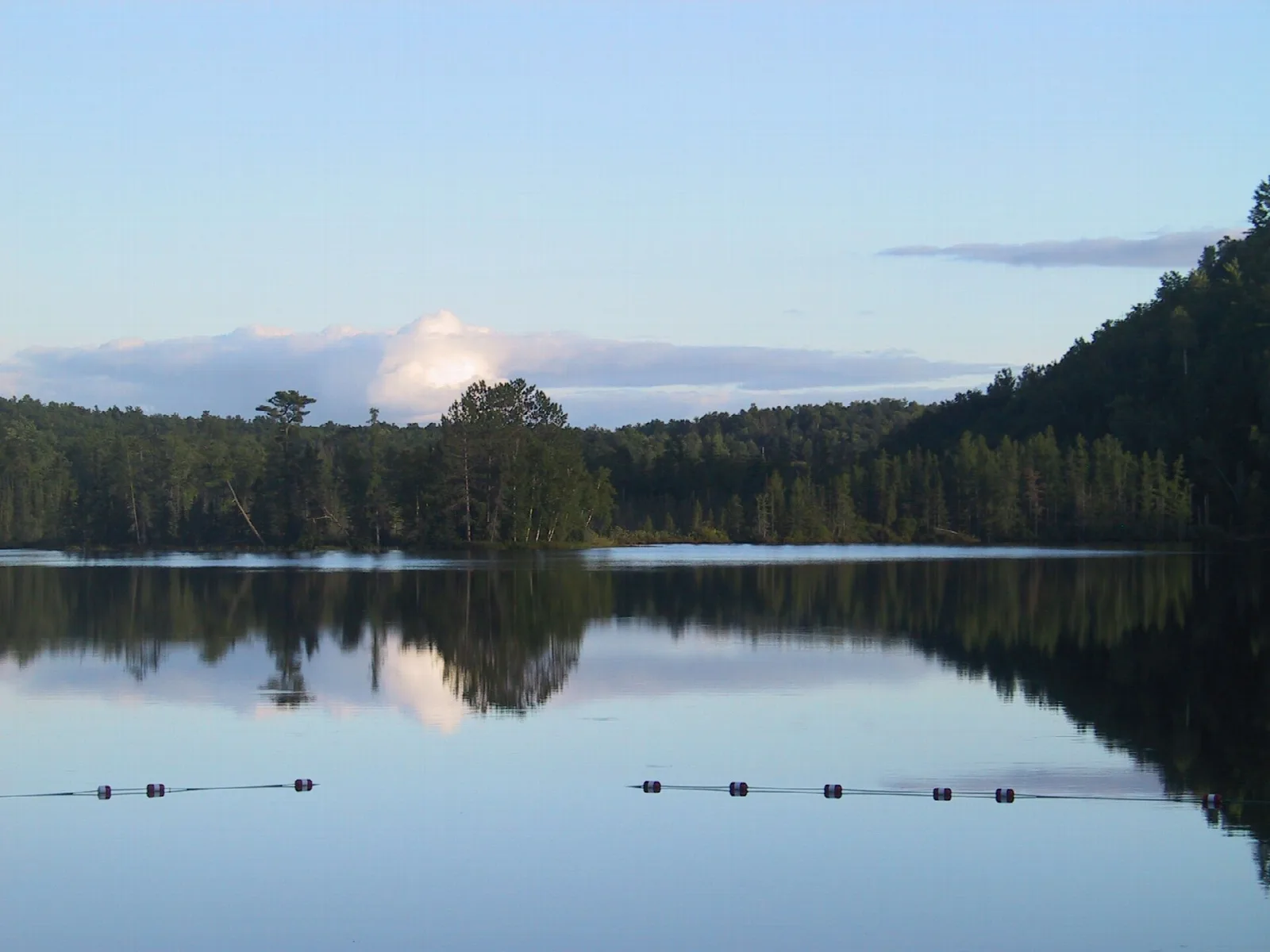 Calm lake with forested shoreline and swim buoys