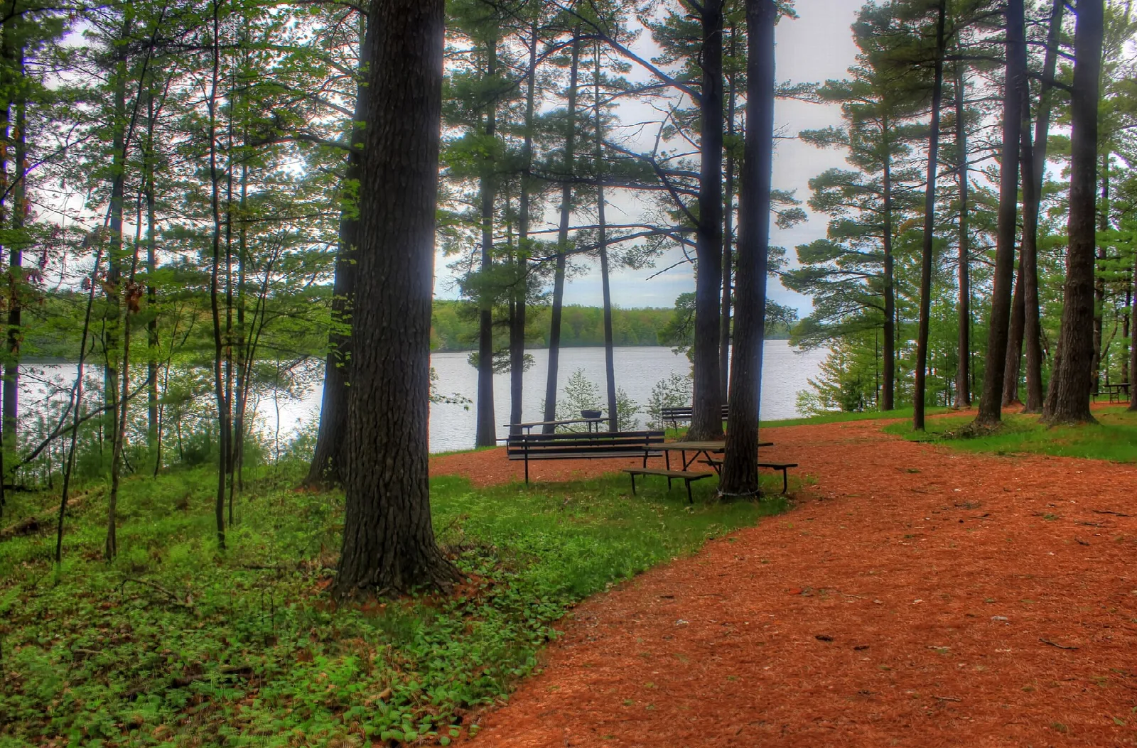 Red dirt path through pines beside a lake with picnic benches