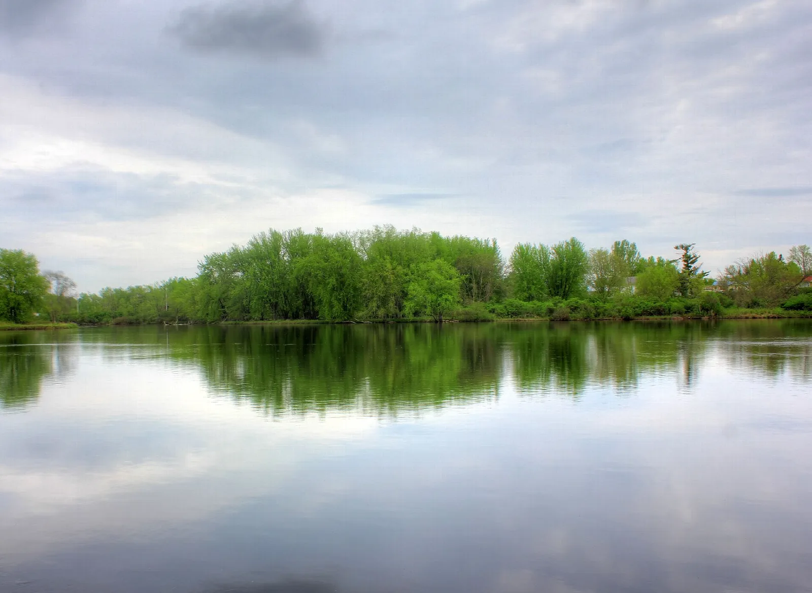 Still lake with a tree-lined far shore under gray sky