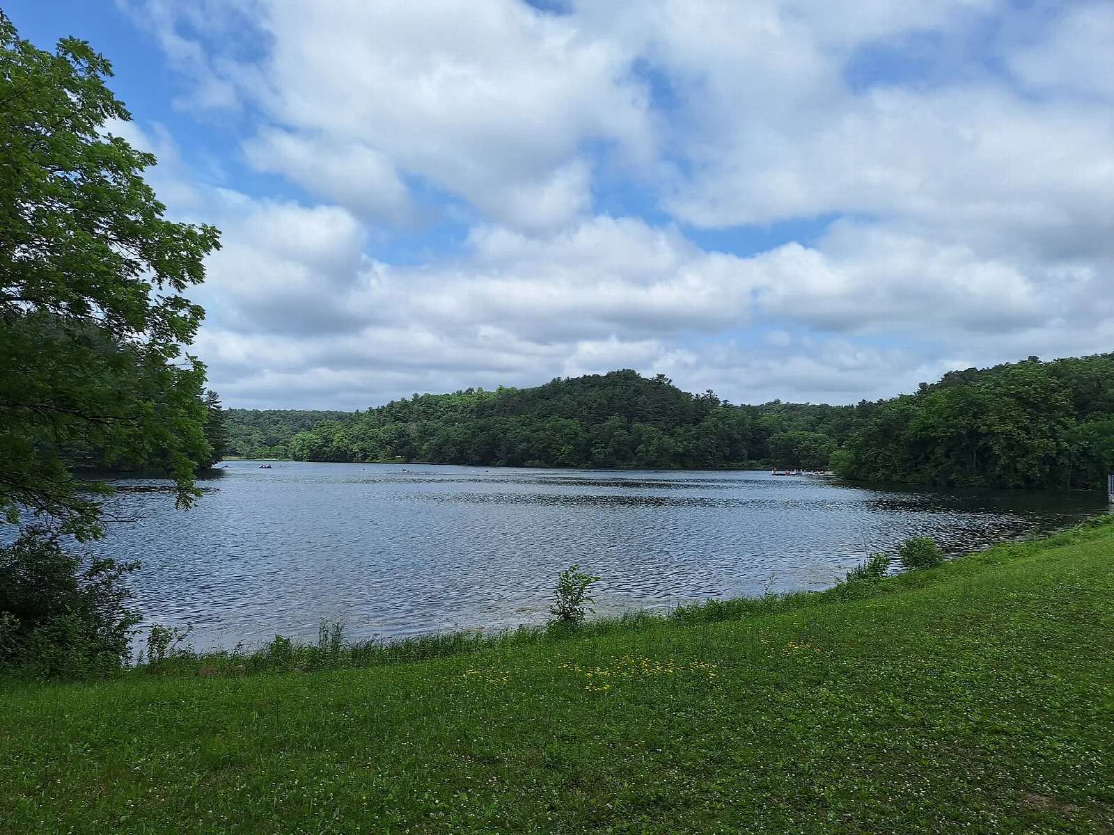 Lake with a grassy shore and wooded hills under blue sky