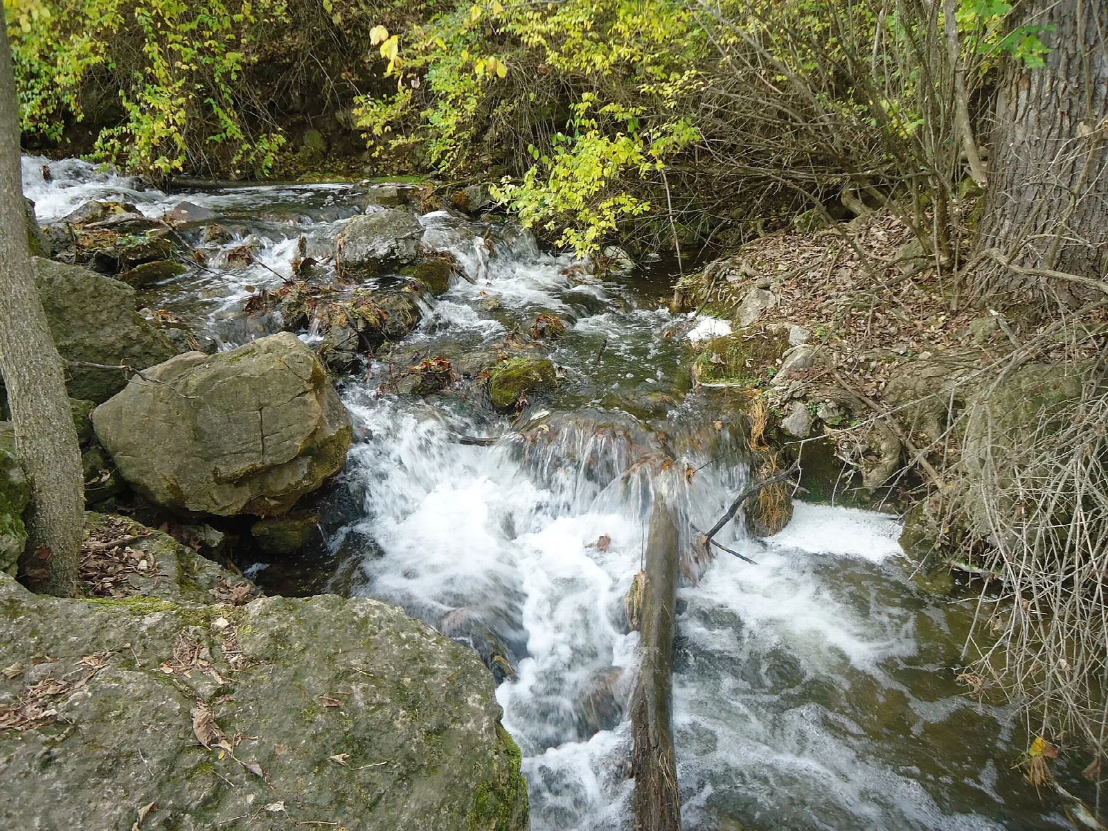 Small waterfall over rocks beside fall foliage