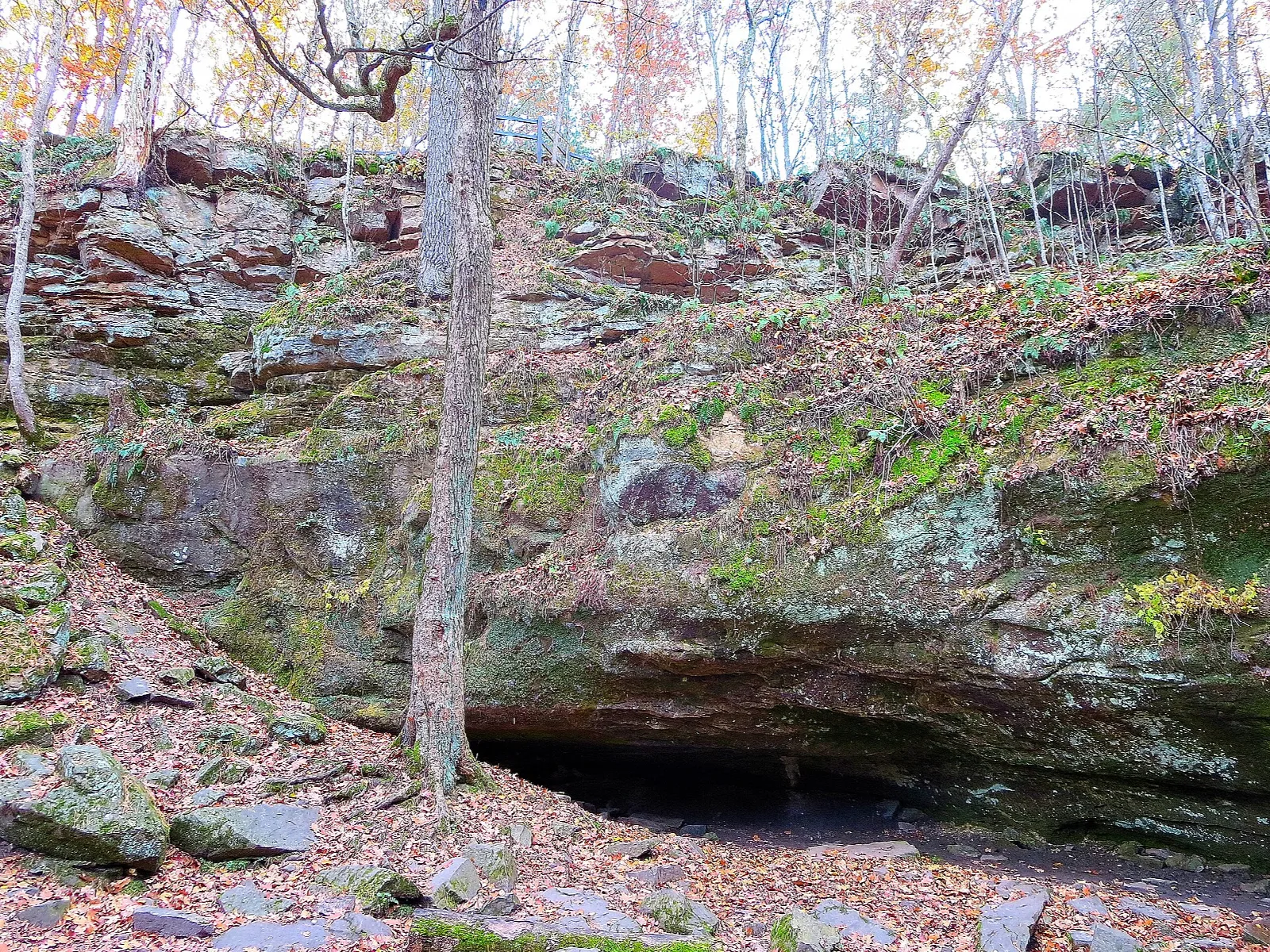 Low cave opening under a mossy rock ledge among bare trees