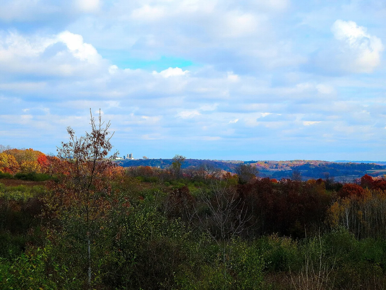 Autumn shrubland with a distant wooded ridge under clouds