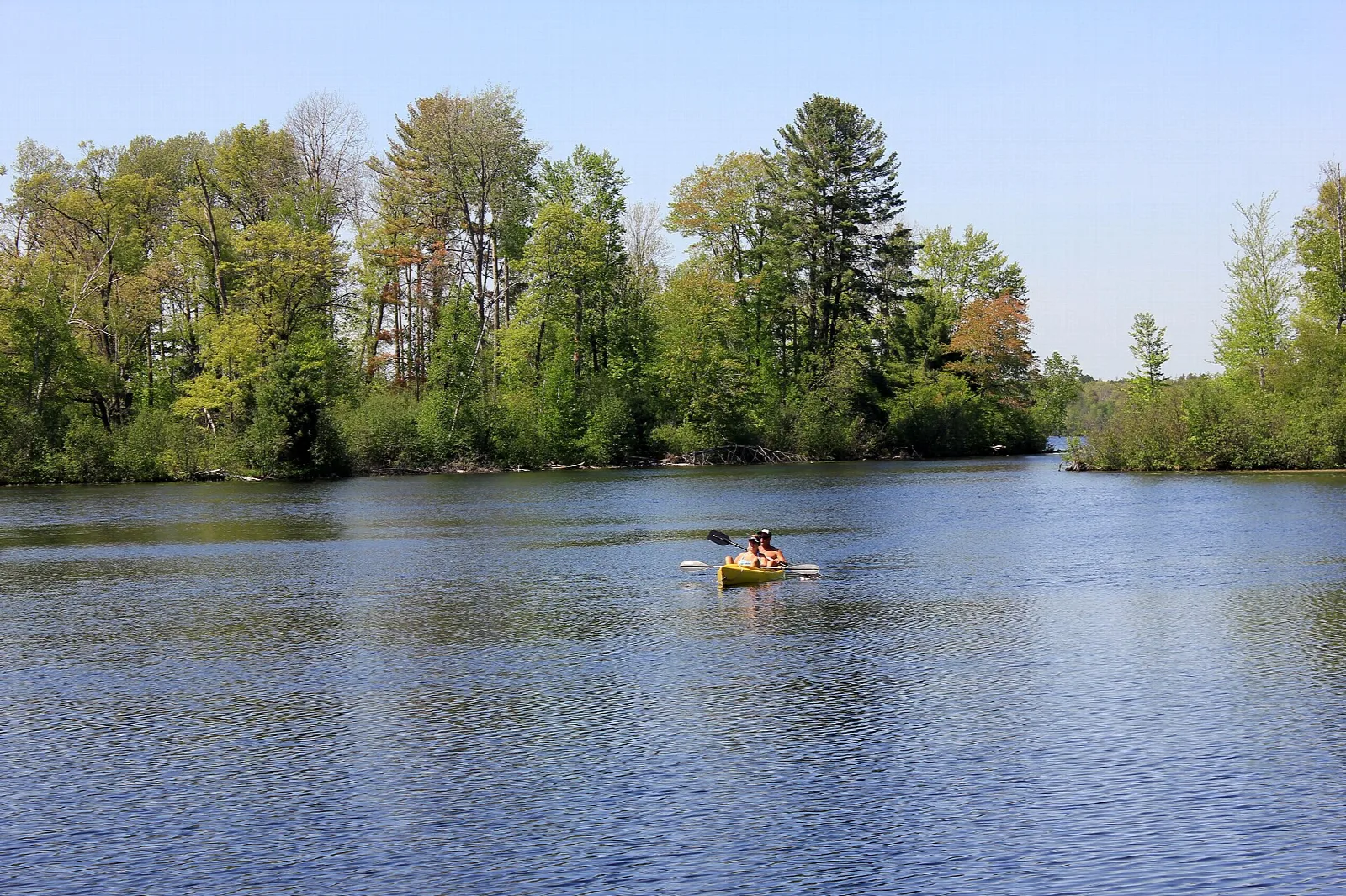 Small boat with paddlers on a blue lake near a tree-covered shore