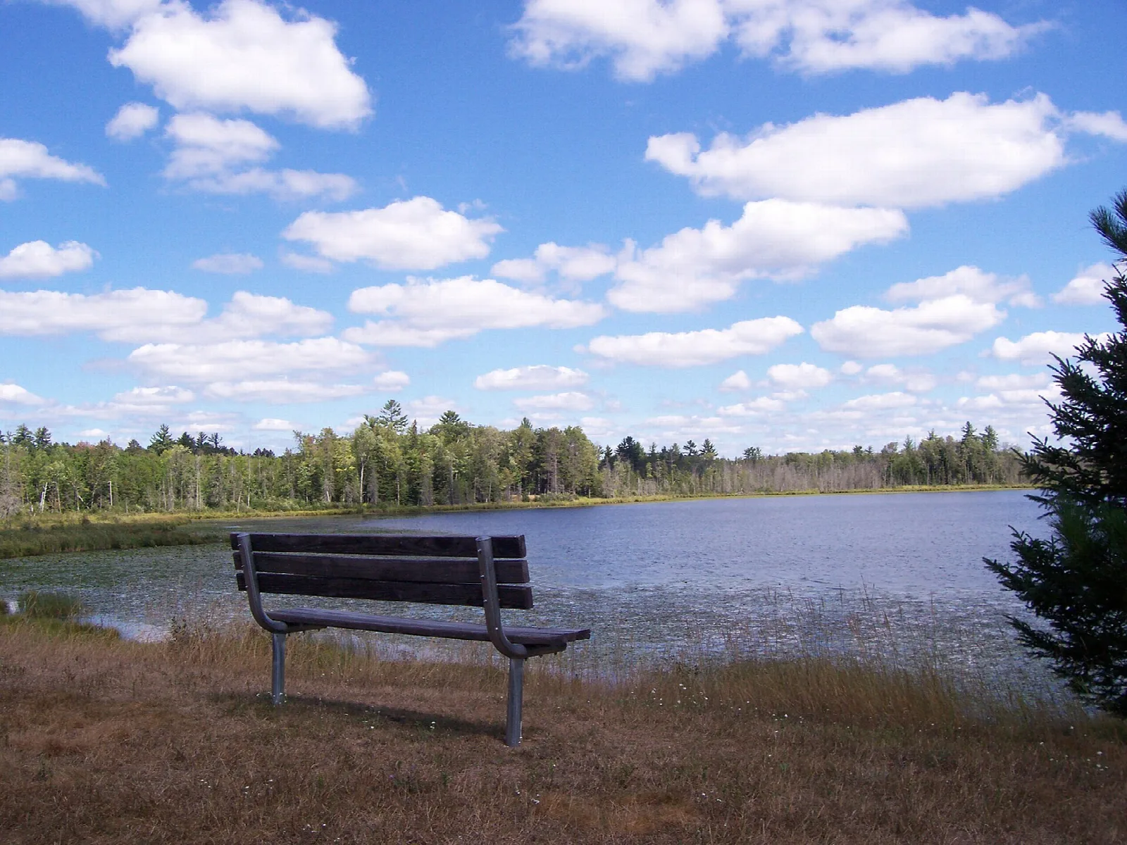 Park bench on a grassy shore looking over Woods Lake under blue sky