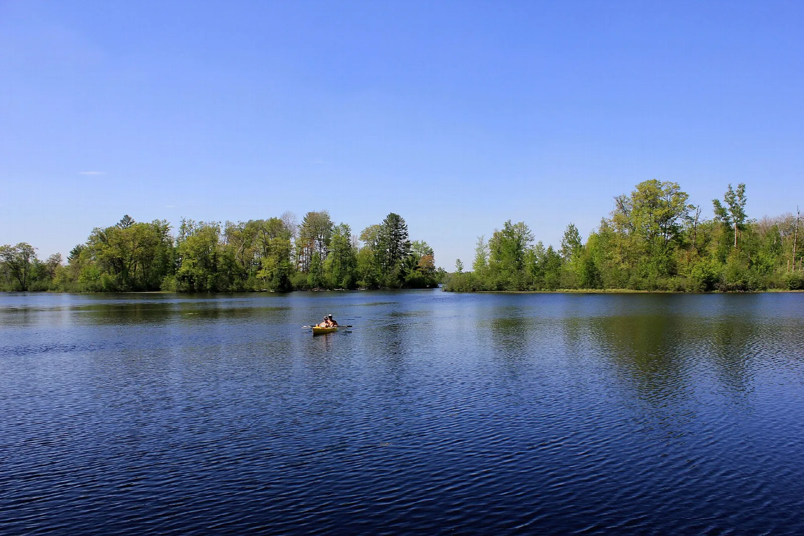 Kayaker on a blue lake near a tree-covered shore