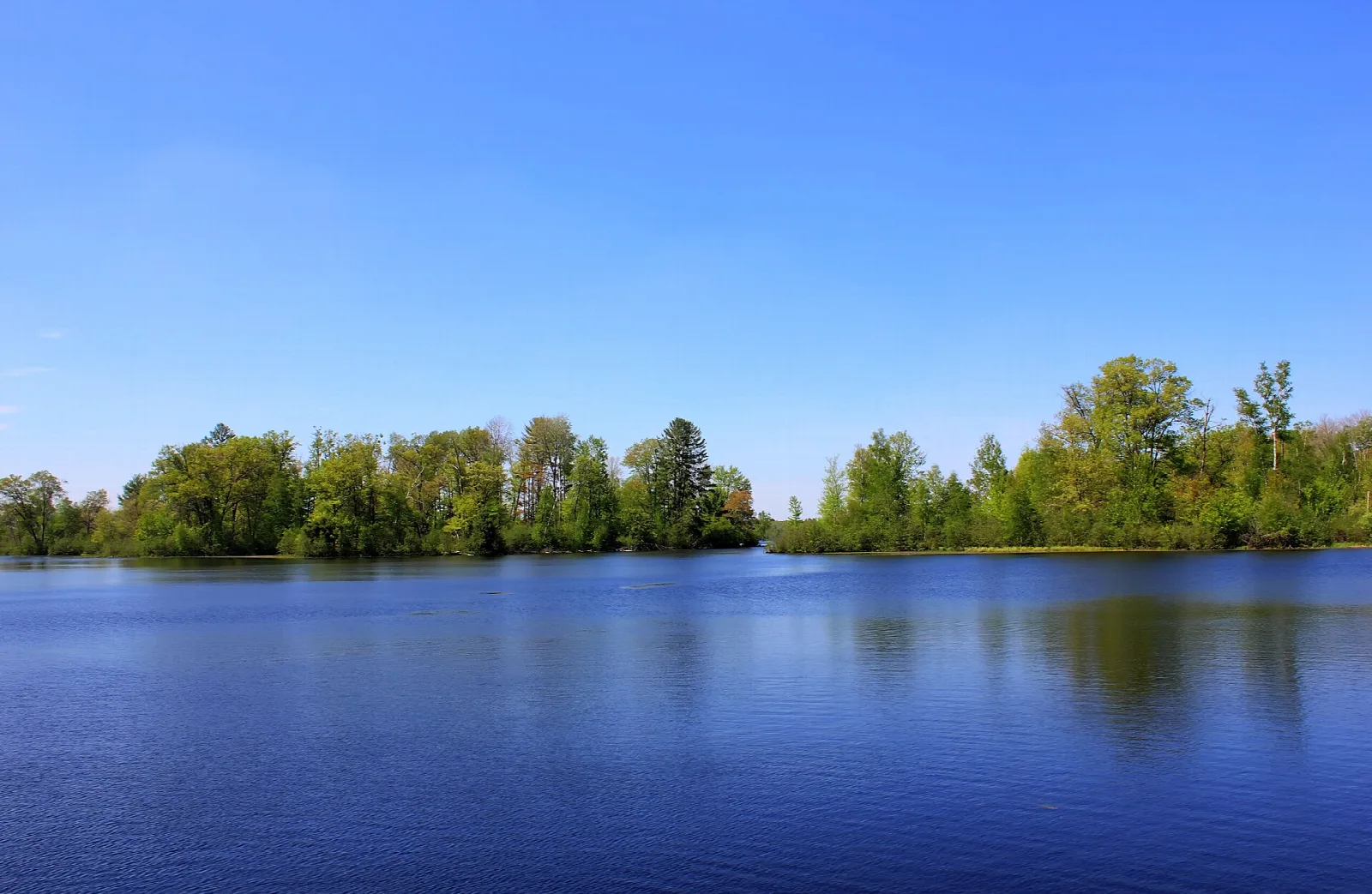 Blue lake with tree-covered islands and shoreline