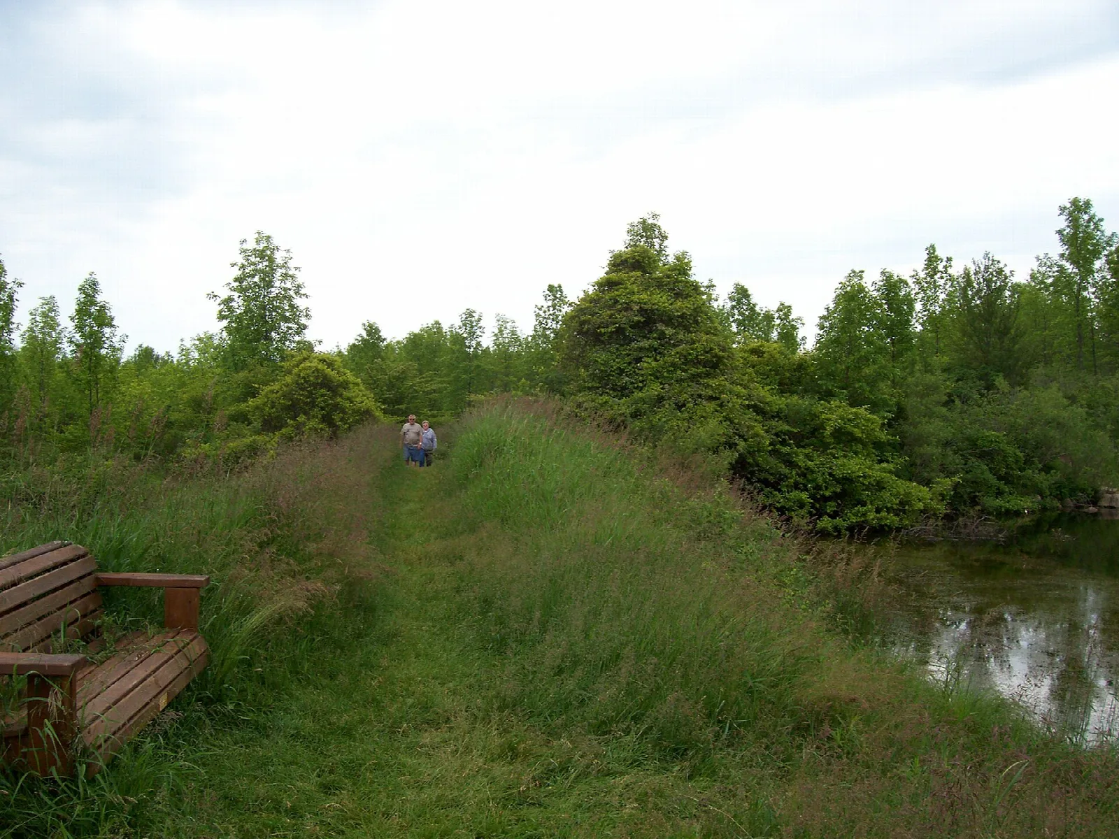 Grassy trail beside a bench and wet edge of a lake