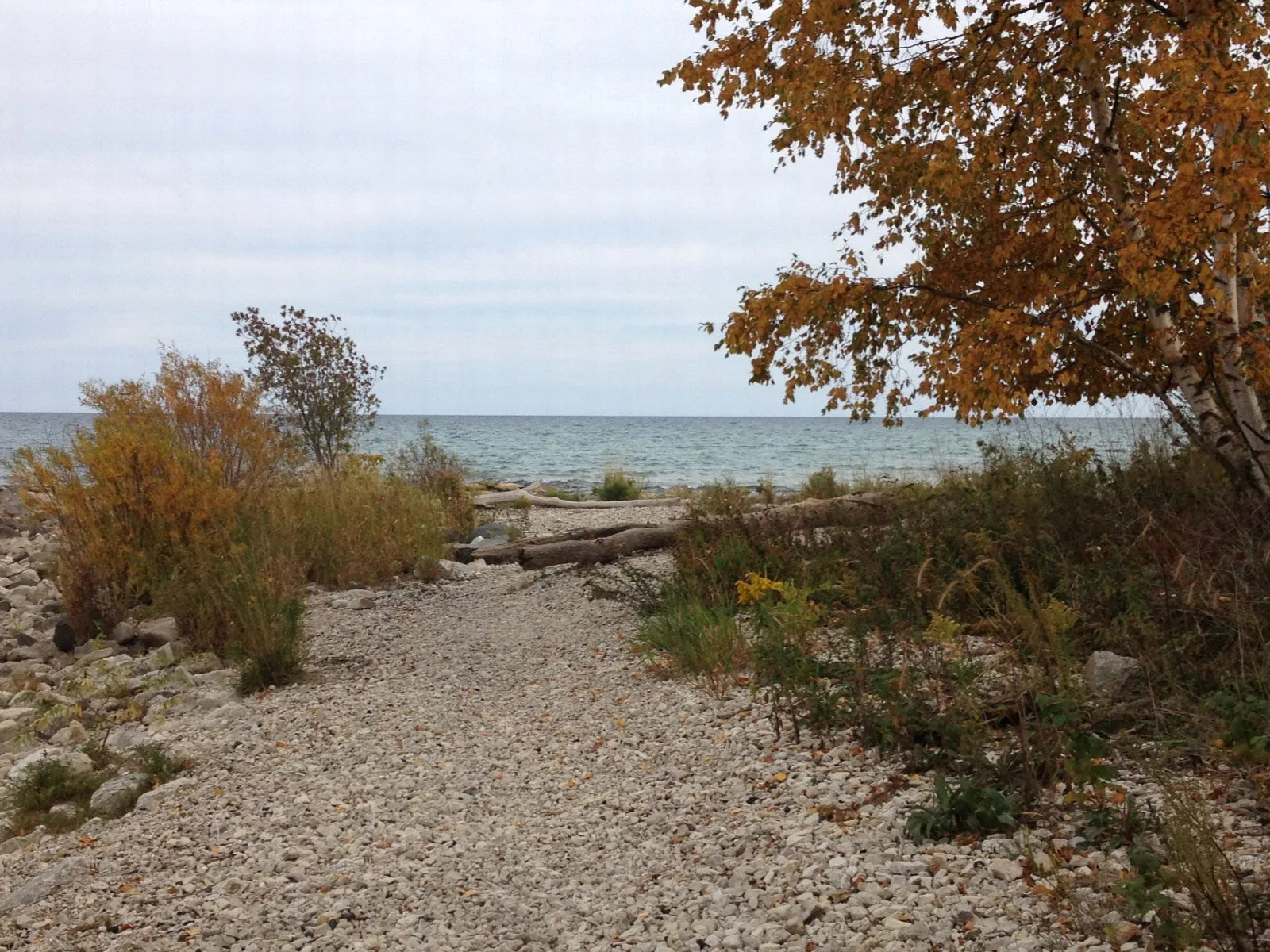 Pebble shore and autumn foliage beside Lake Michigan
