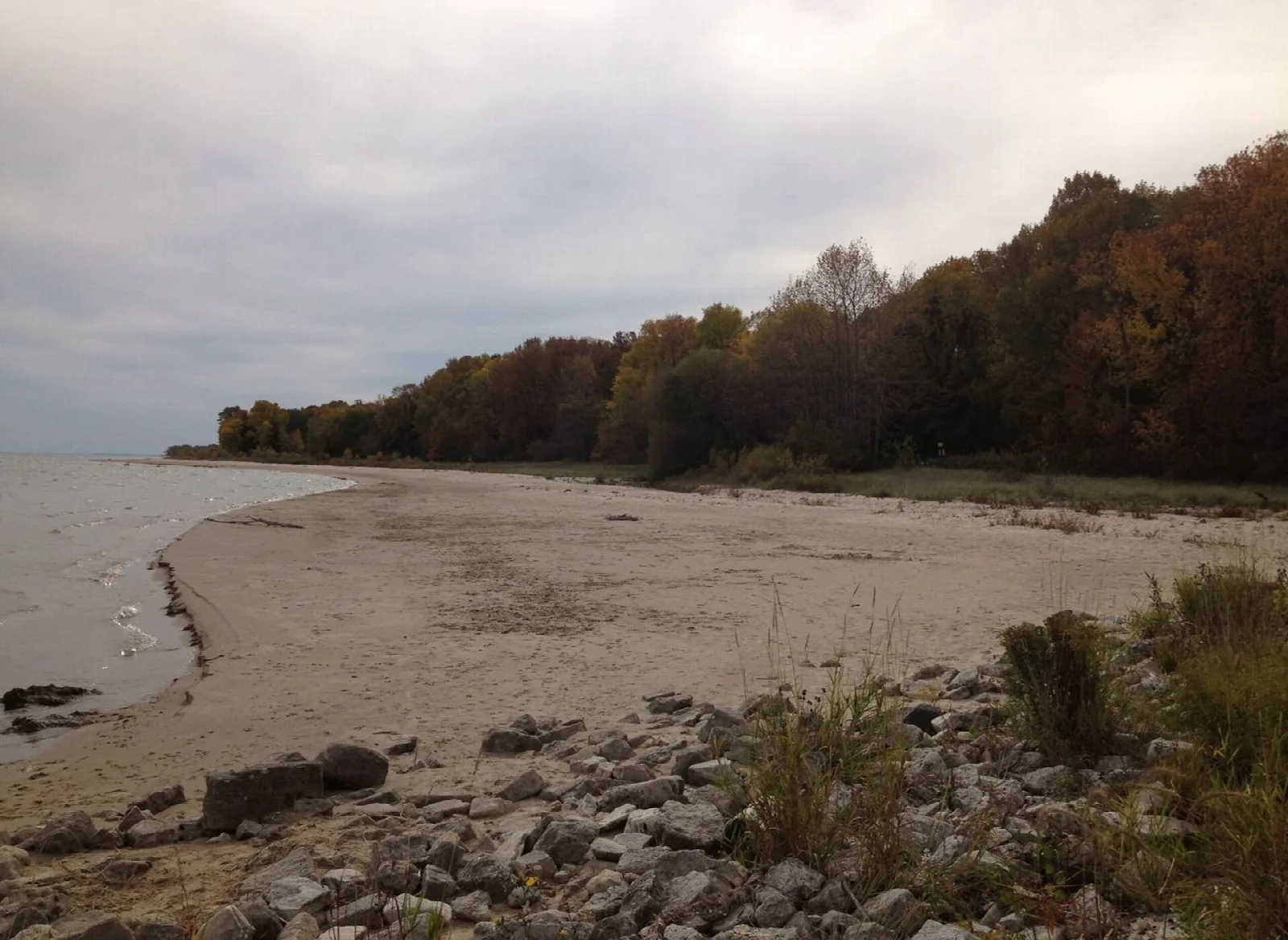 Sandy Lake Michigan beach with autumn trees along the shore