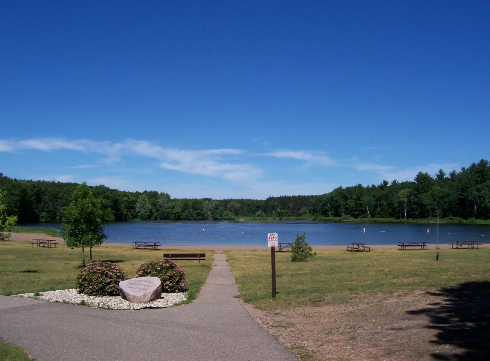 A small lake with a mown lawn and paved path in the foreground, picnic tables and tall pines beyond