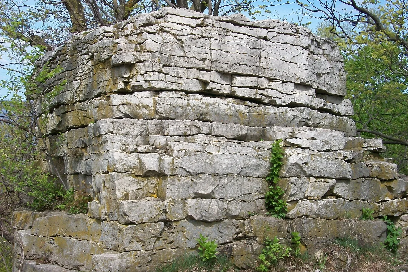 Tall stack of layered limestone beside green trees