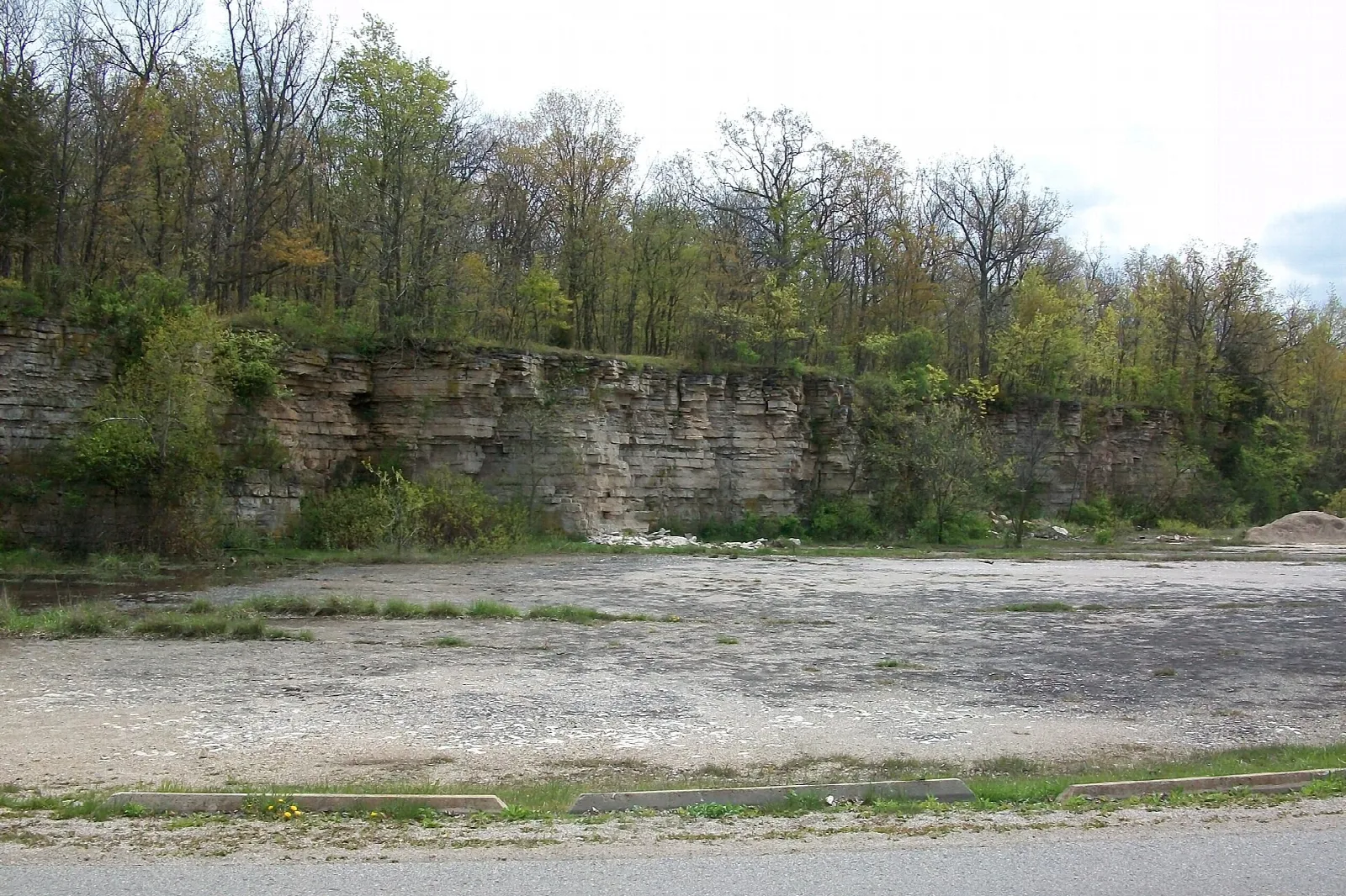 Limestone cliff face rising above a flat gravel clearing and trees
