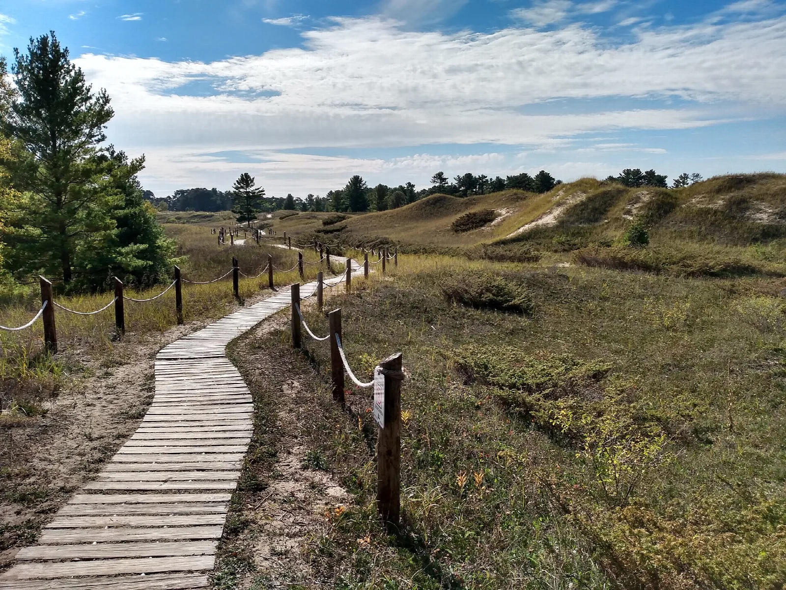 Wooden boardwalk with rope rails winding over grassy sand dunes under blue sky