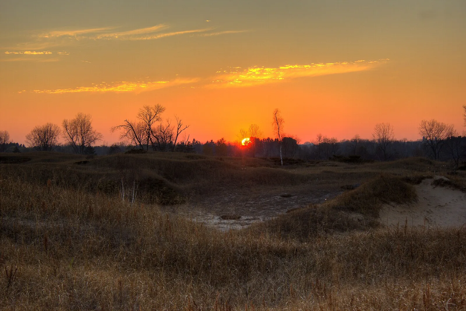 Orange sunset over grassy dunes with bare trees