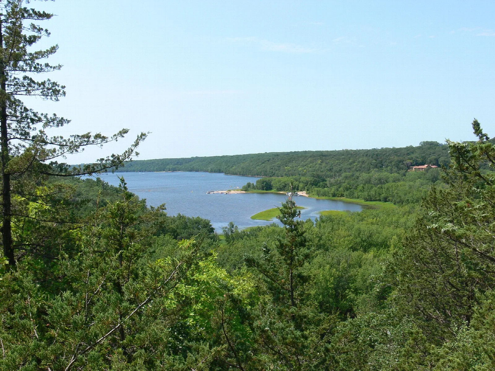 River and green wooded hills seen through pine branches