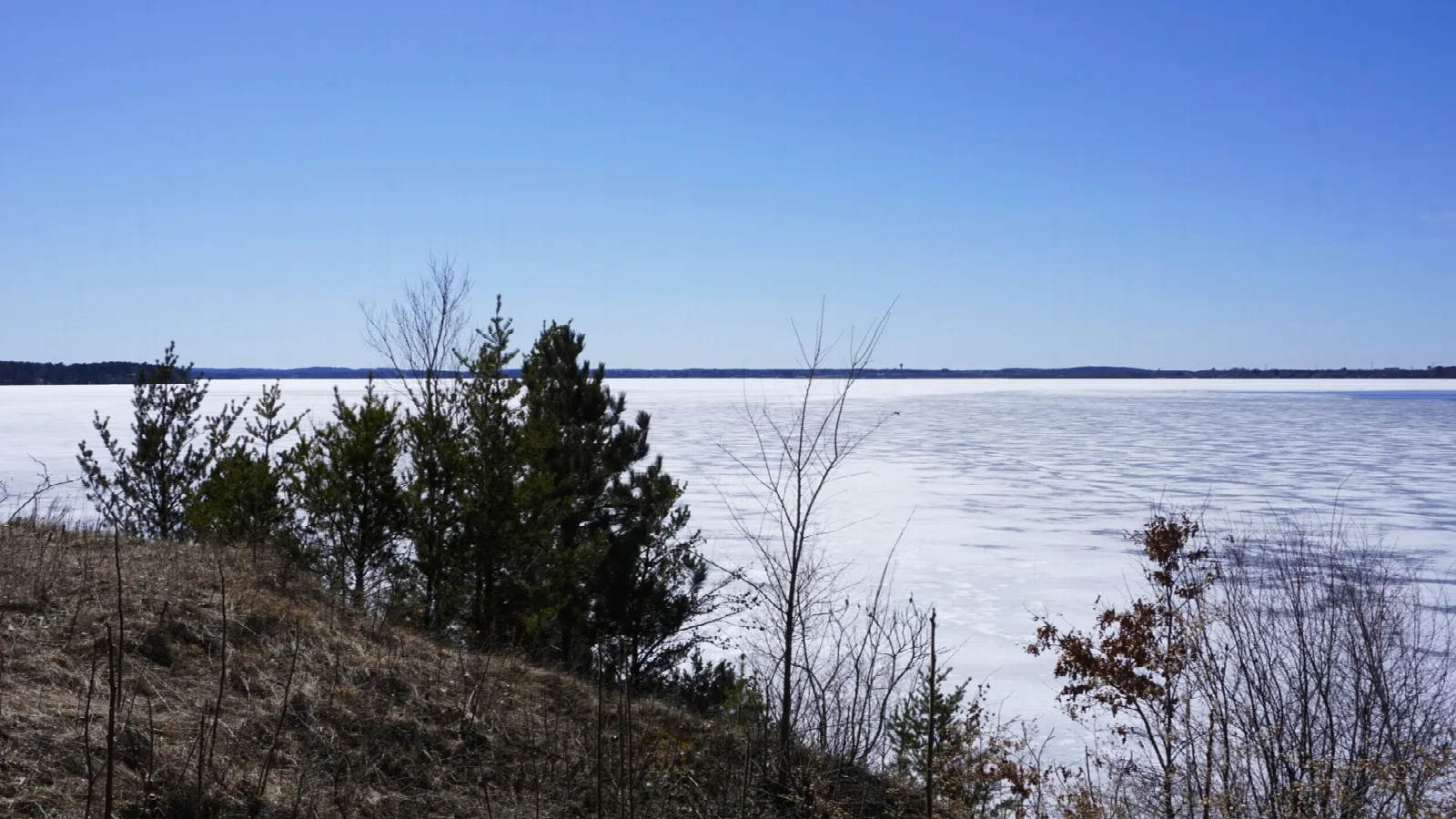 Frozen lake seen from a sloping hillside with pines