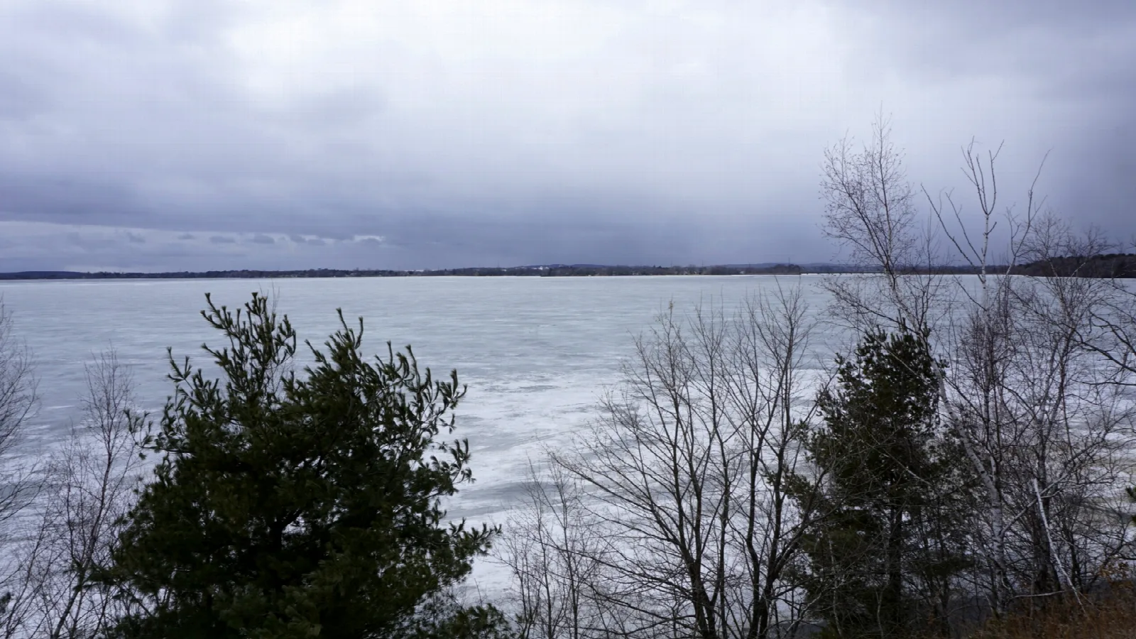Frozen lake under cloudy sky seen past evergreens and bare trees