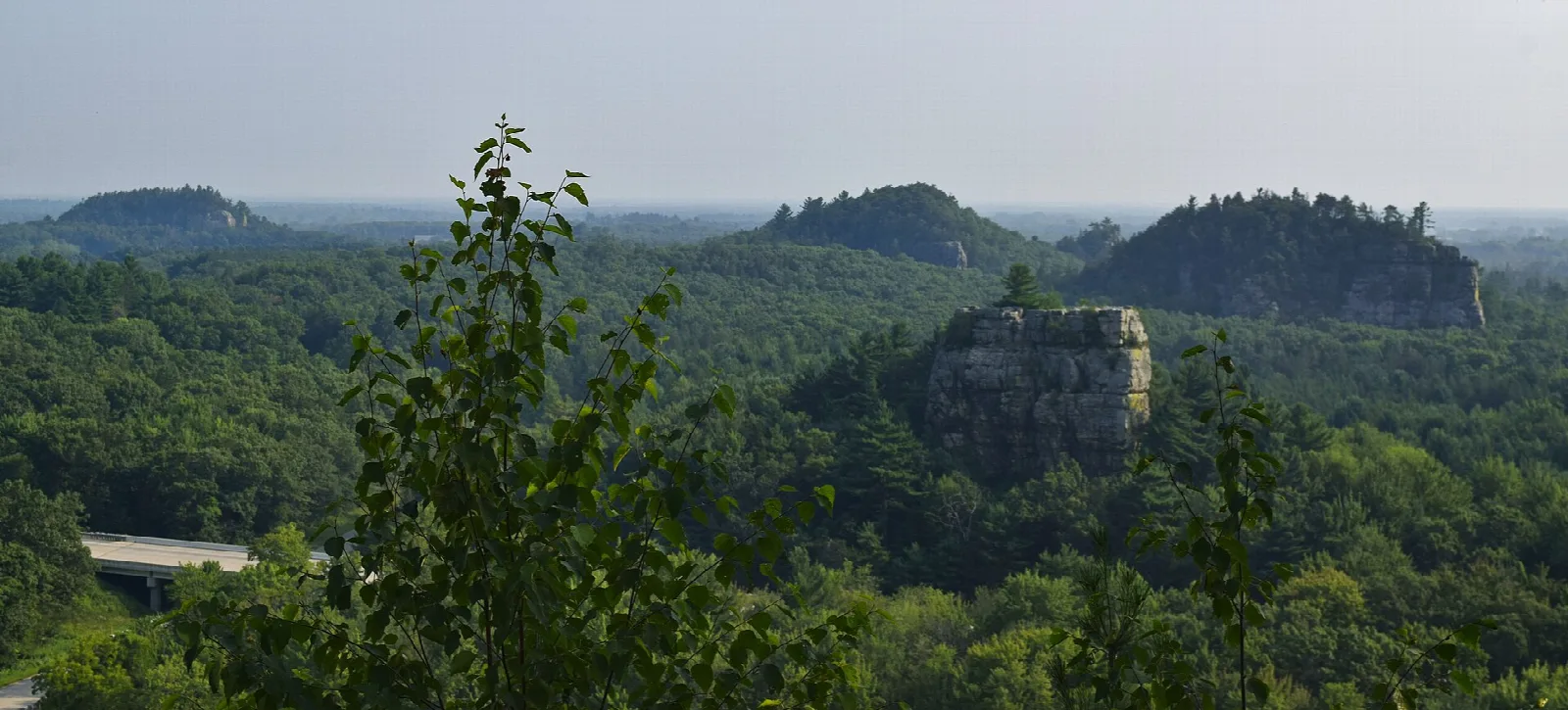 Wooded landscape with two flat-topped bluffs on the horizon