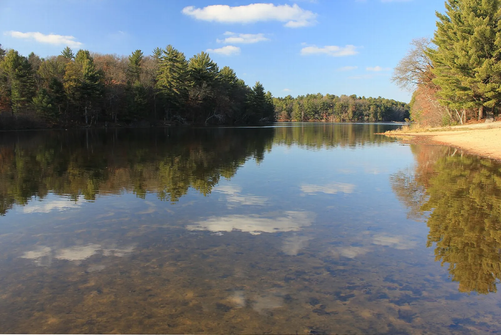 Clear lake with a pebbly bottom and clouds reflected, pines along the shore