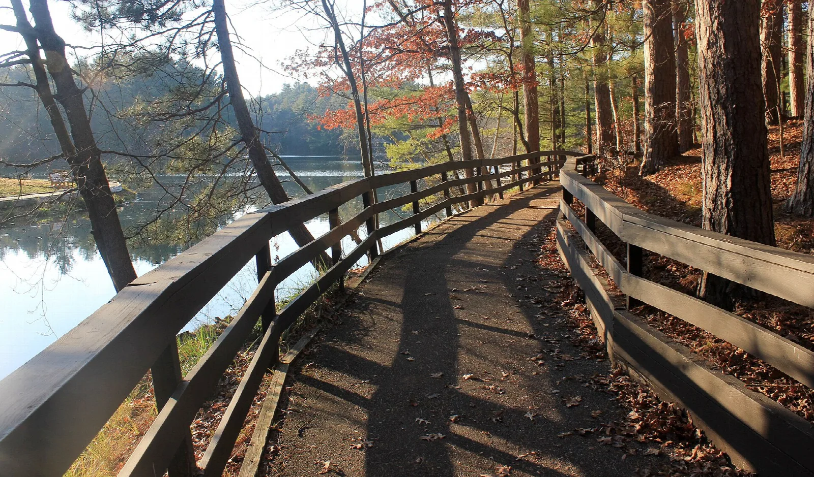 Wooden boardwalk with railing along a wooded lake shore in autumn