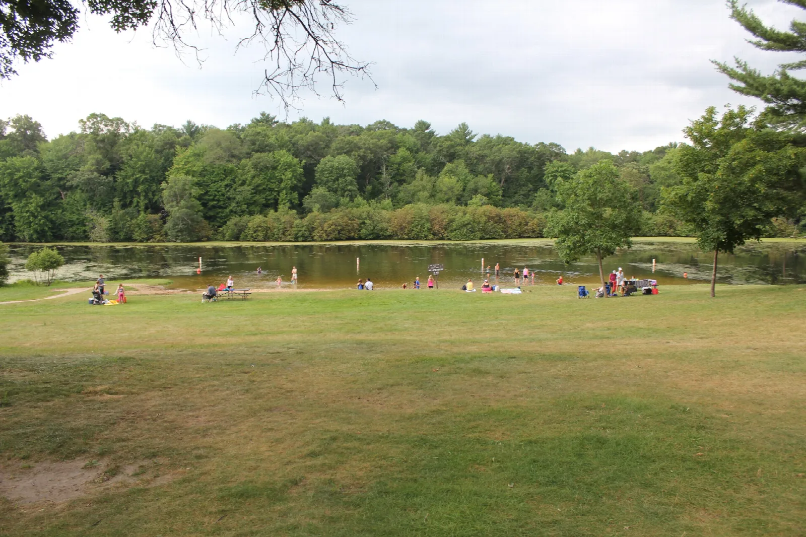 Grassy beach area beside a lake with people and forest beyond