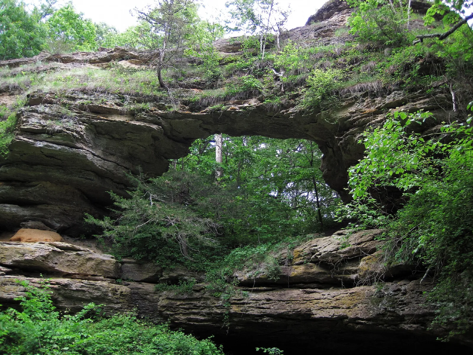 Rock arch covered in moss and green plants with forest visible through it