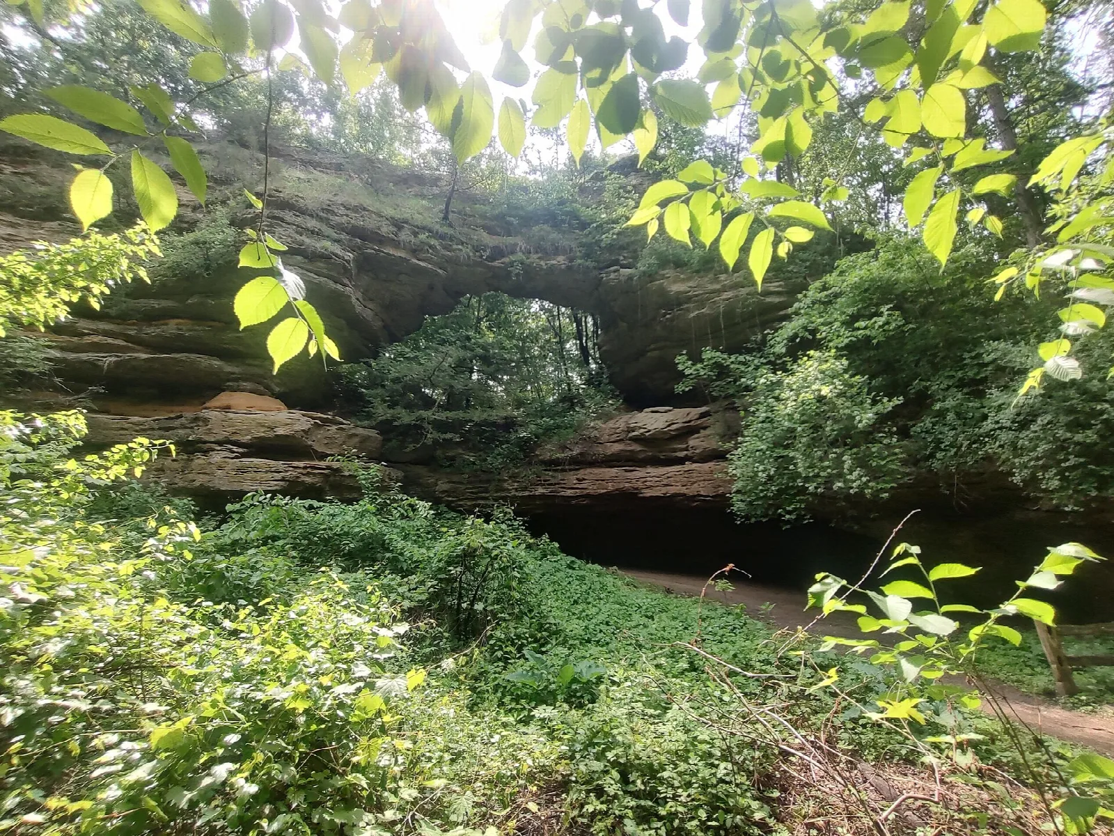 Sandstone arch seen through bright green leaves