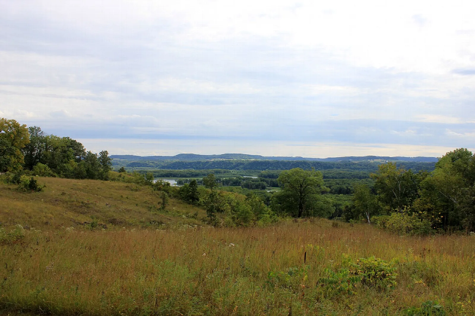Open grassy hilltop with trees and a long view across a river valley