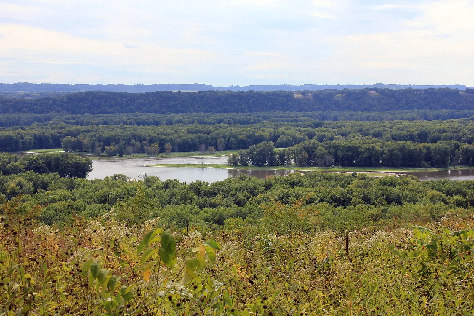 Wide river valley with wooded bluffs seen over golden prairie grass