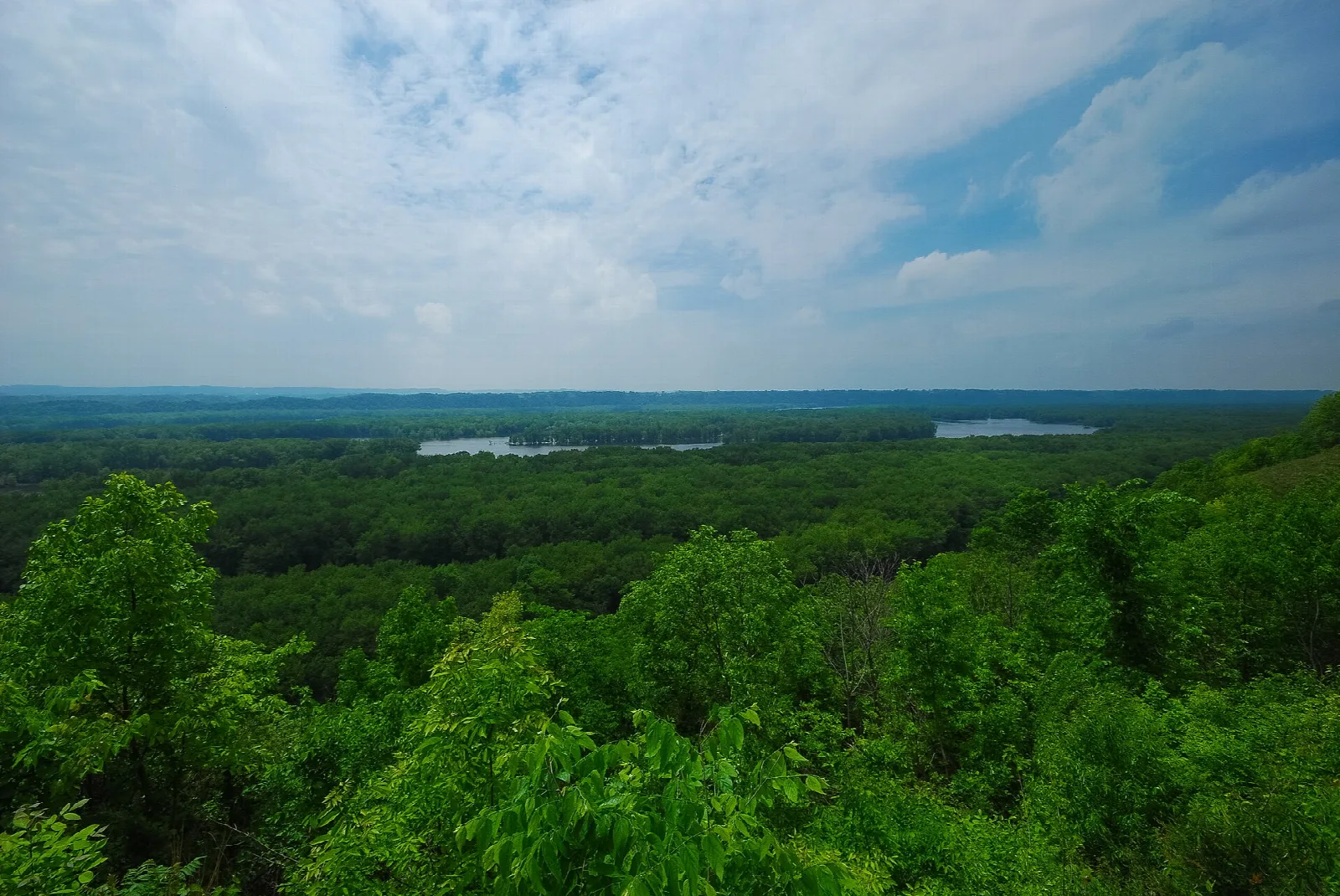 Rolling prairie hillside with trees and distant river valley