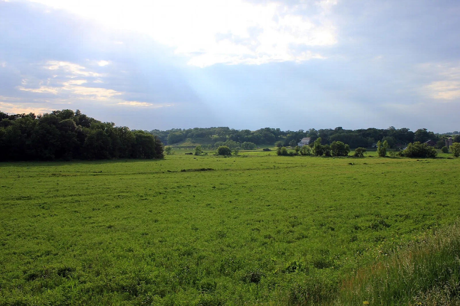Green field with sunbeams breaking through clouds over distant trees