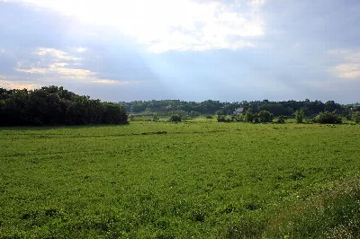 New Glarus Woods State Park
