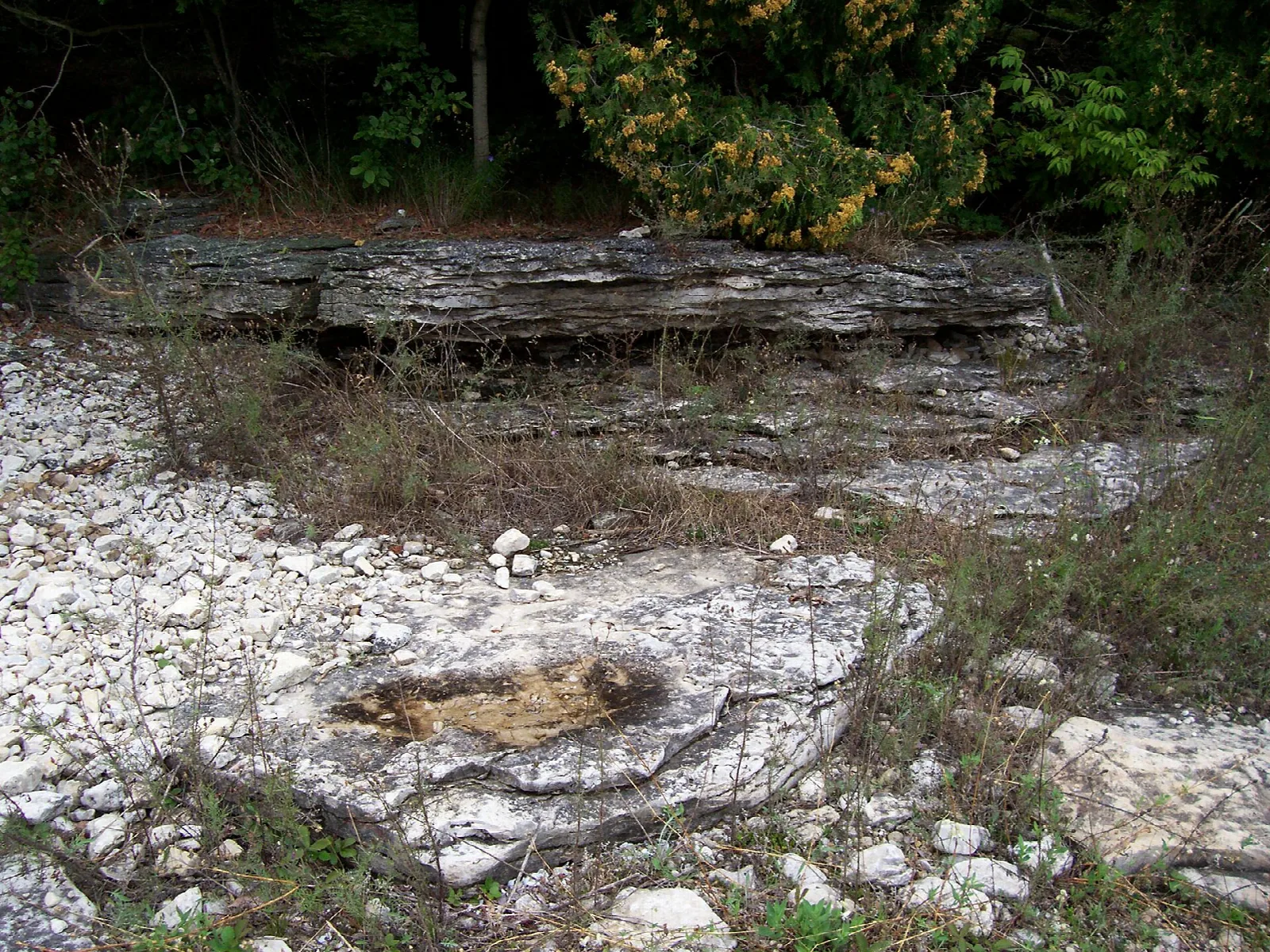 Flat limestone outcropping and white rubble along a shore