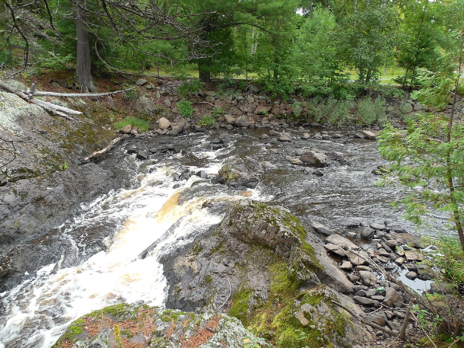 River tumbling over rocks in white rapids below the falls, with forest behind