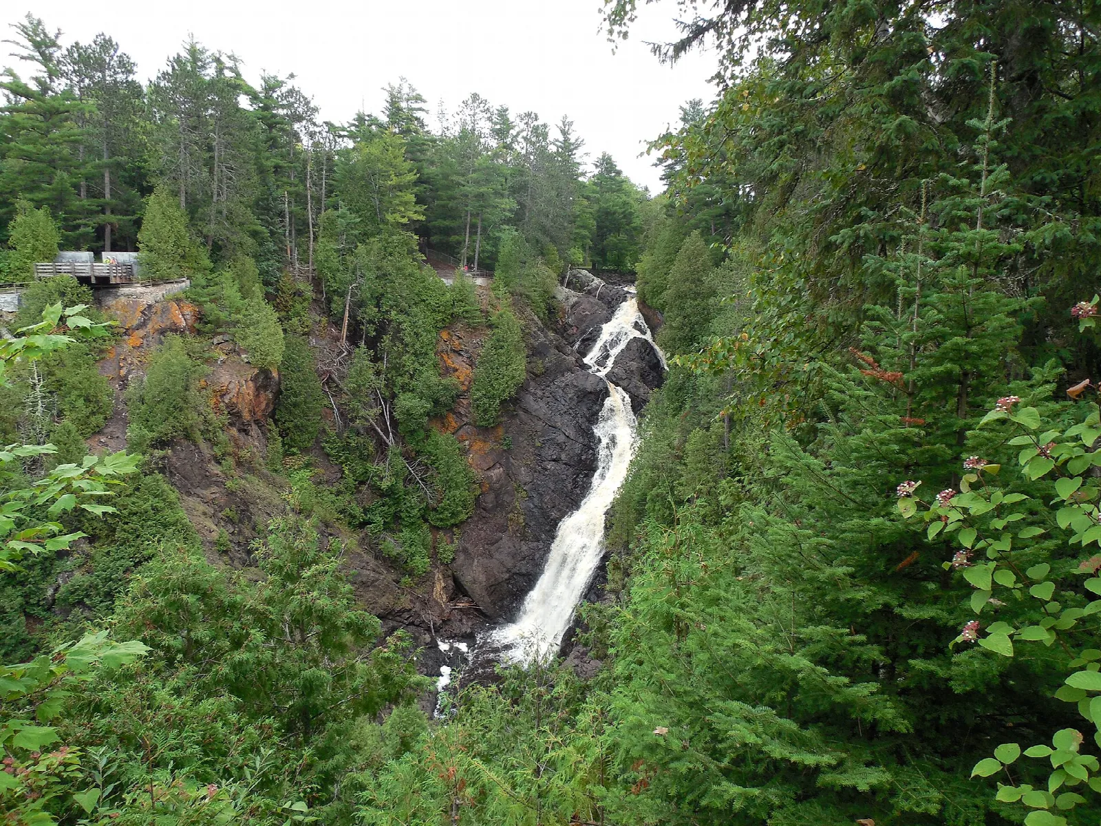 Tall waterfall dropping through a rocky gorge lined with evergreen trees