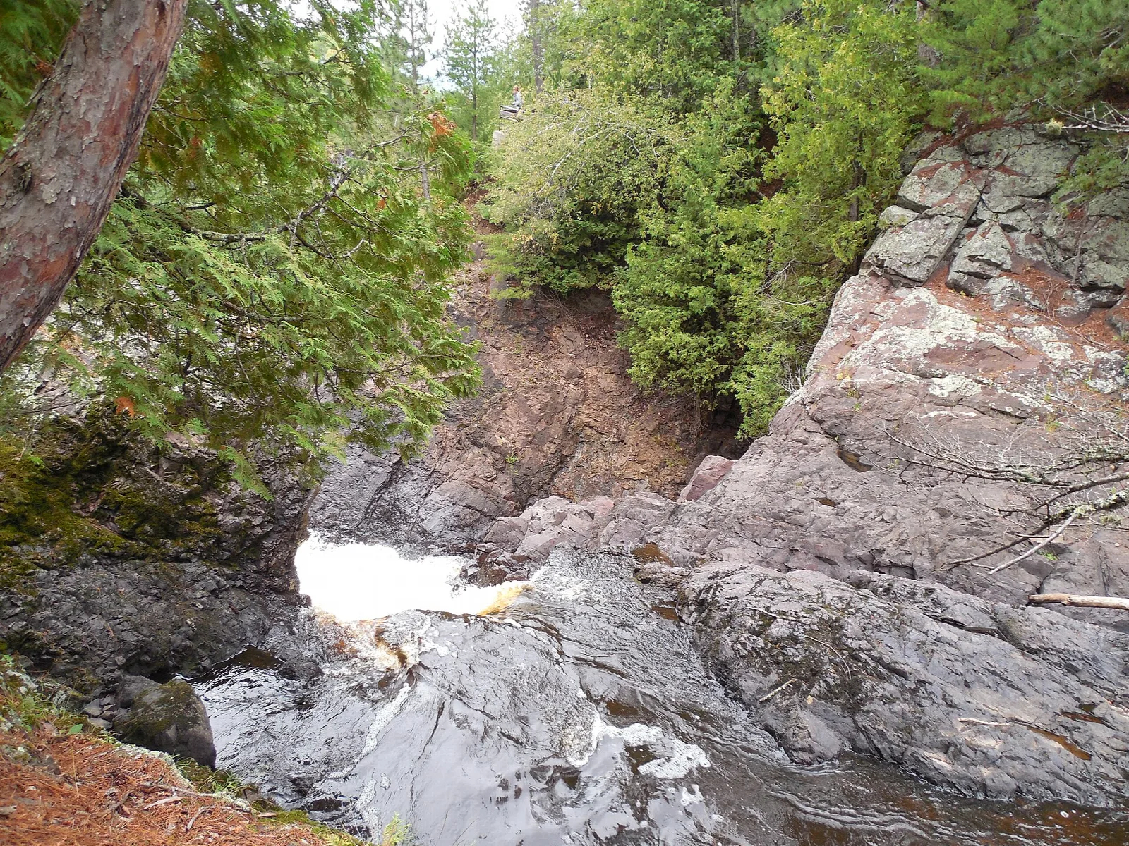 Rocky gorge with a small stretch of white water at the bottom, surrounded by trees