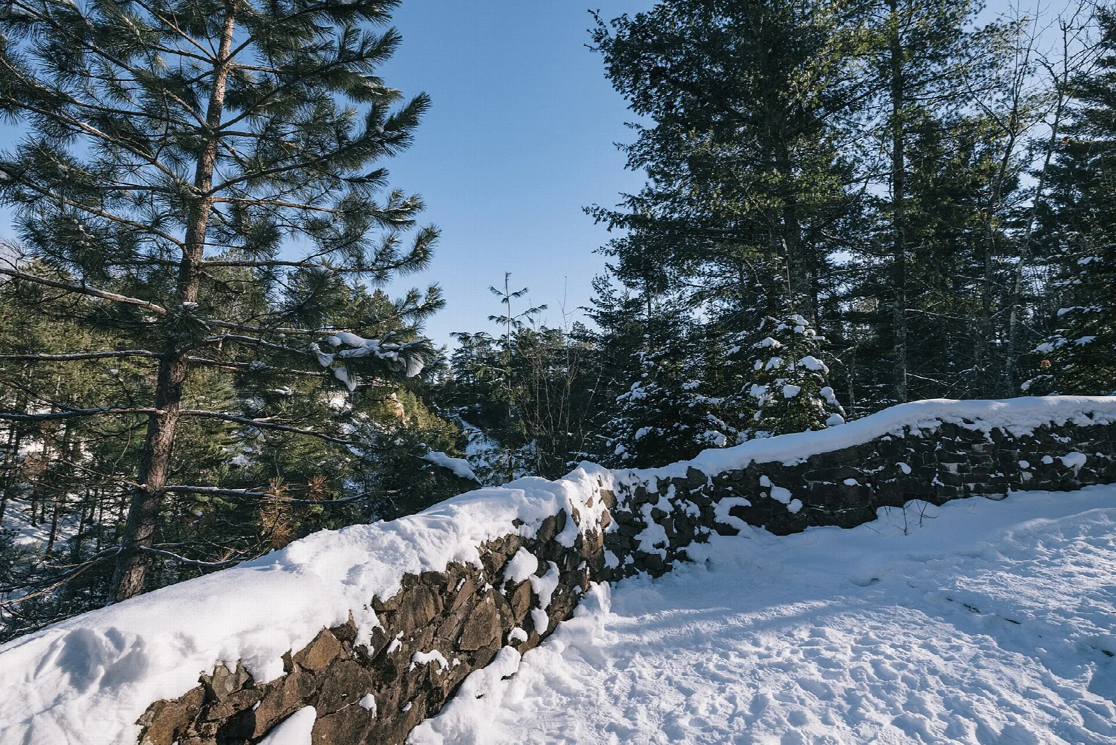 Snow-covered stone wall at a viewpoint among tall pines under a blue sky