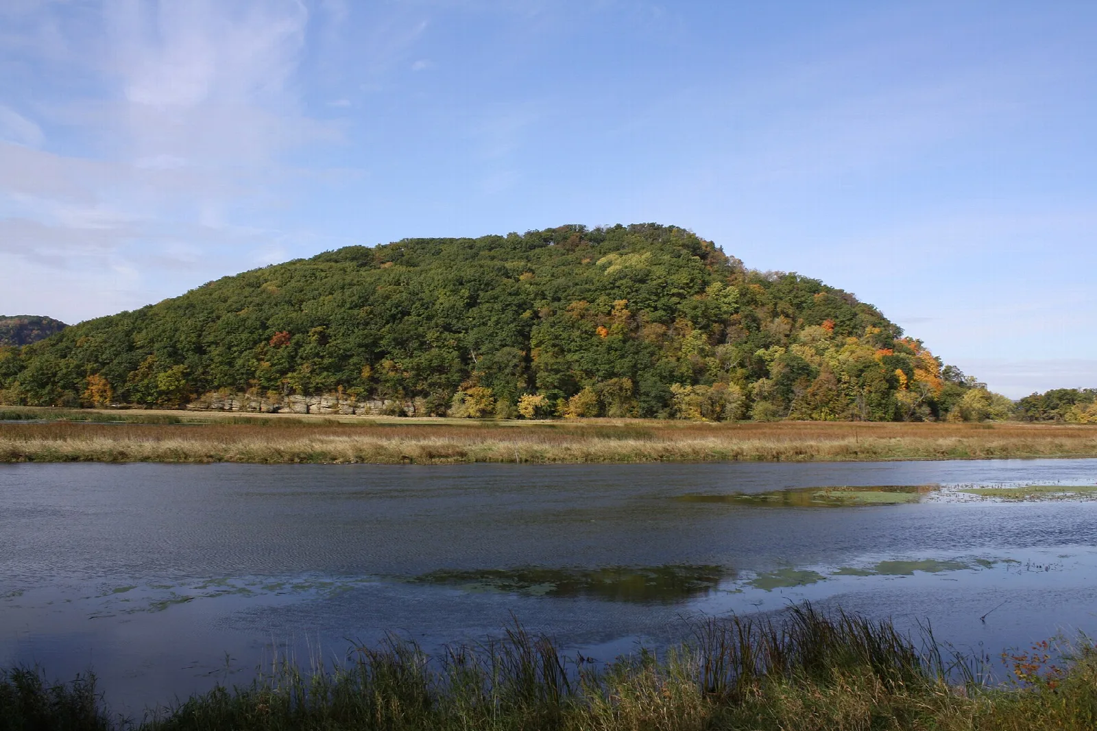 Forested hill rising behind a calm river and marsh grass