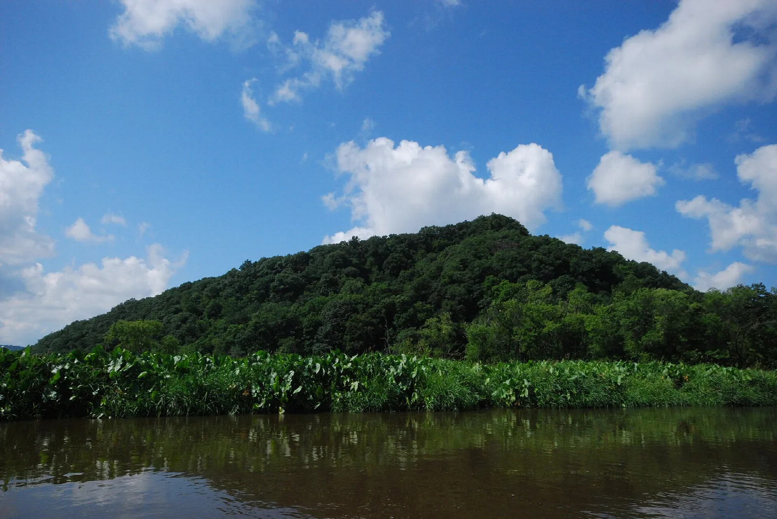 Dark wooded hill across the water under a blue sky with clouds