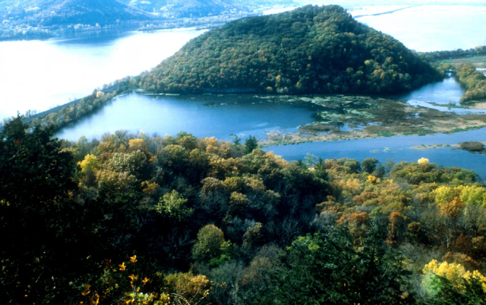 Forested hill and blue backwater seen from above with fall color in the foreground