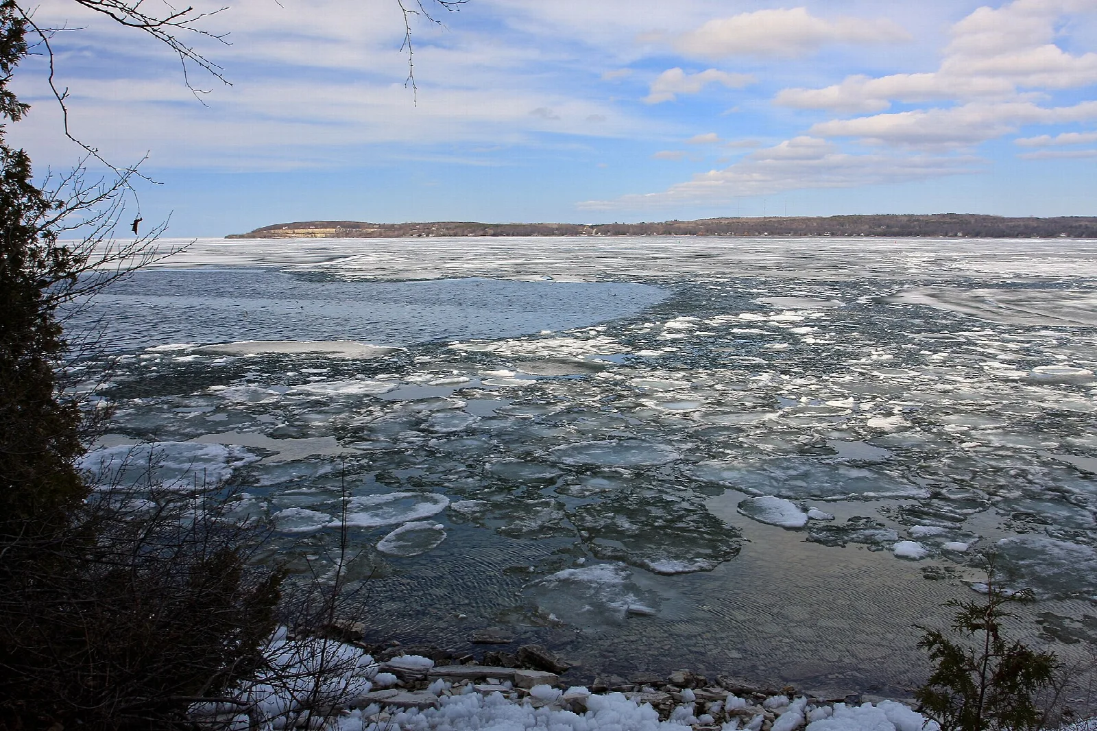 Broken ice floating on a bay with a wooded far shore