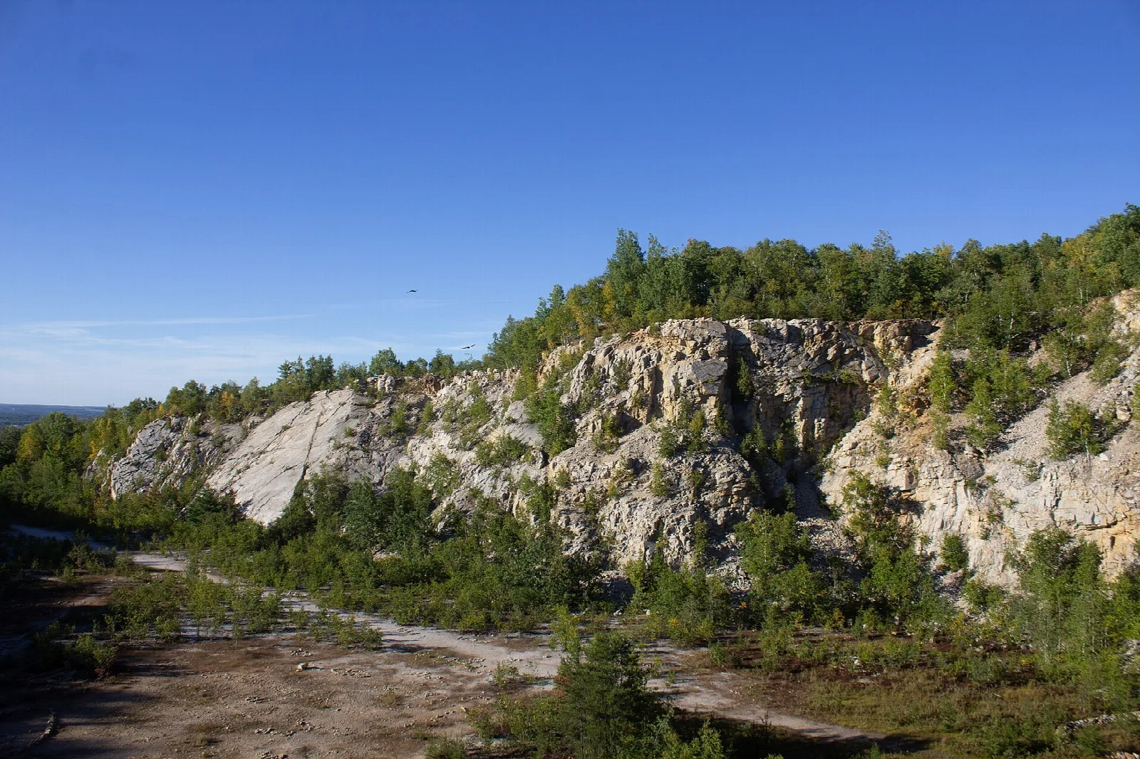 Pale rock quarry wall with trees along the top and a dirt path below