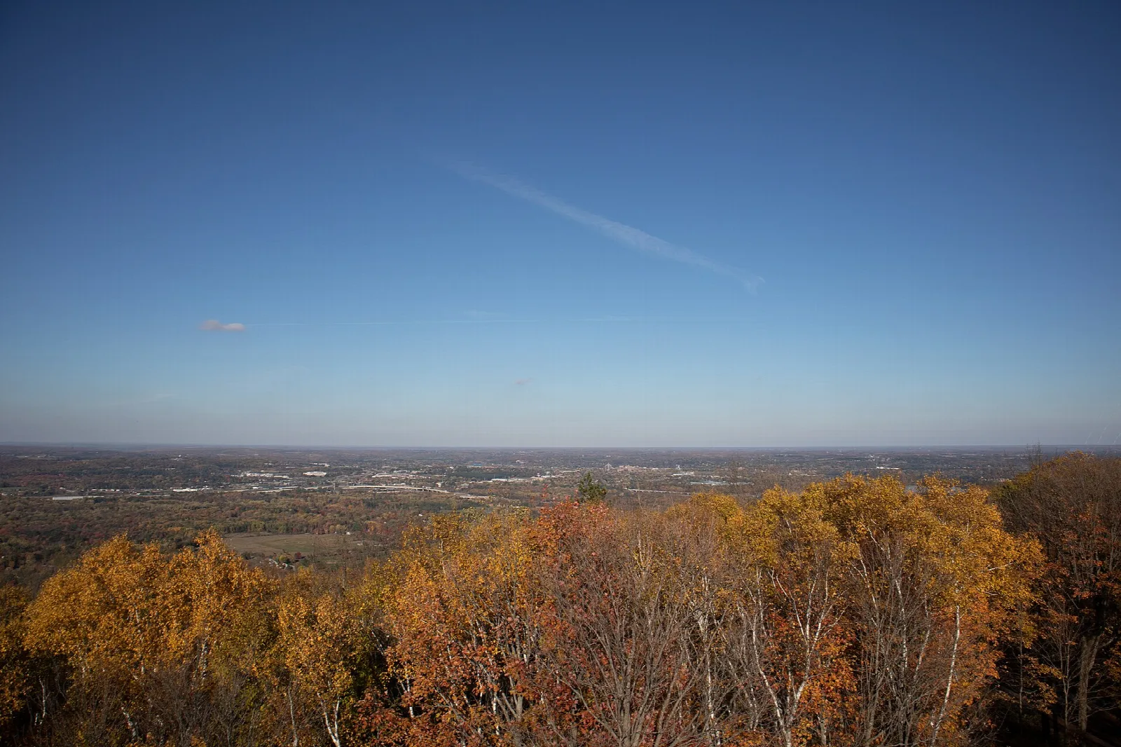 Autumn treetops with a wide flat view to the horizon