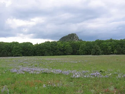 Roche-A-Cri State Park